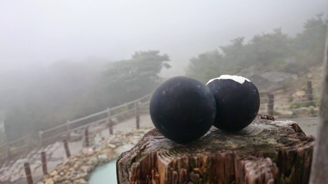 Hakone, Gora i Owakudani – Visita a la prefectura de Kanagawa – Dies 3 i 4