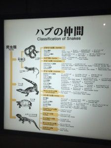 El sud d’Okinawa: Okinawa World i el Parc del memorial de la Pau – 沖縄の南