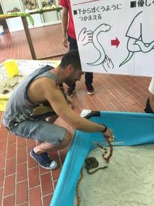 El sud d’Okinawa: Okinawa World i el Parc del memorial de la Pau – 沖縄の南