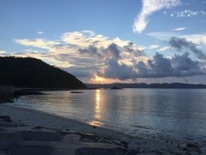 L’illa de Zamami i els seus esculls de coral!  座間味島とそのサンゴ礁