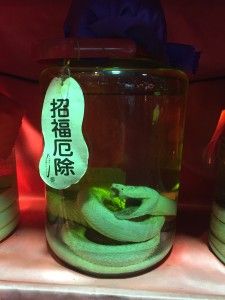 Welcome to Okinawa – ようこそ沖縄へ