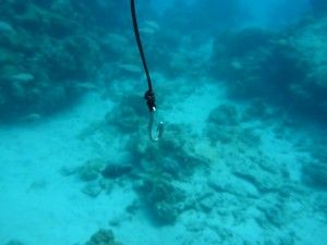 L’illa de Zamami i els seus esculls de coral!  座間味島とそのサンゴ礁