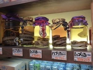 Welcome to Okinawa – ようこそ沖縄へ