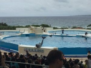 El nord d’Okinawa: del aquari de Churaumi fins al Cap Hedo – 沖縄の北