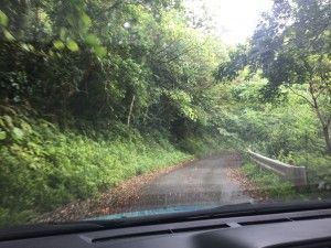 El nord d’Okinawa: del aquari de Churaumi fins al Cap Hedo – 沖縄の北