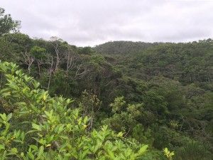 El nord d’Okinawa: del aquari de Churaumi fins al Cap Hedo – 沖縄の北